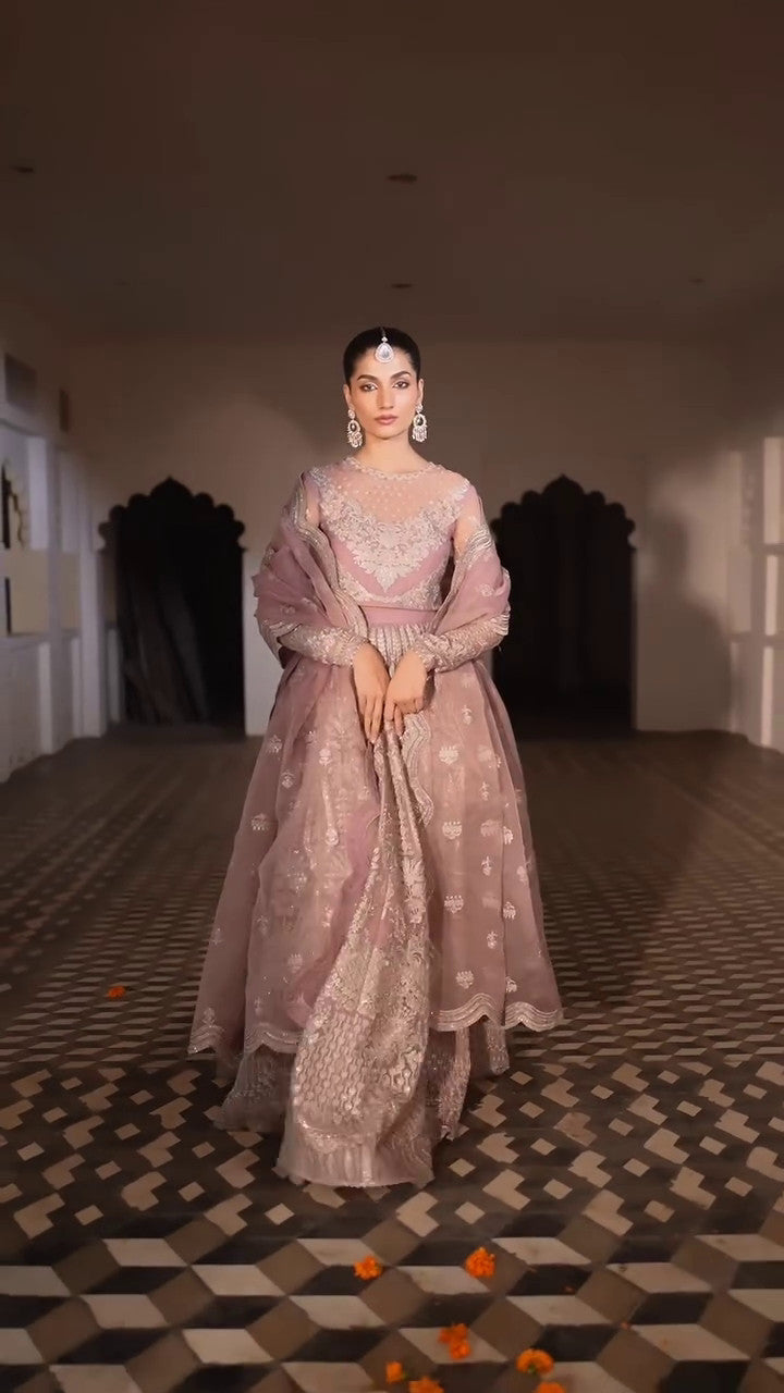 Rang-e-Haya Alexa (Seashell Pink)