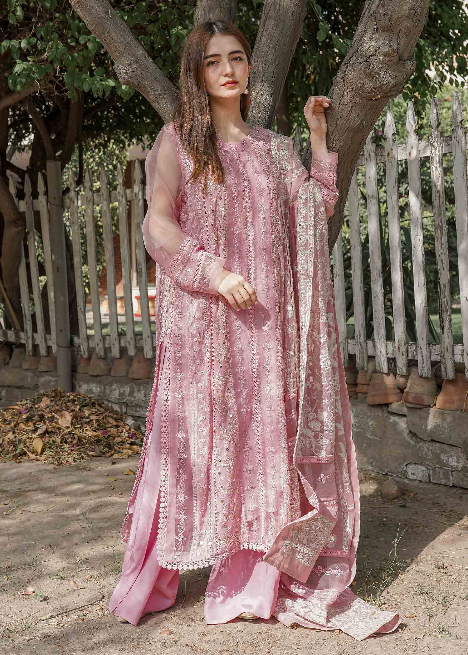 Rang-e-Haya Azalea (Pink)