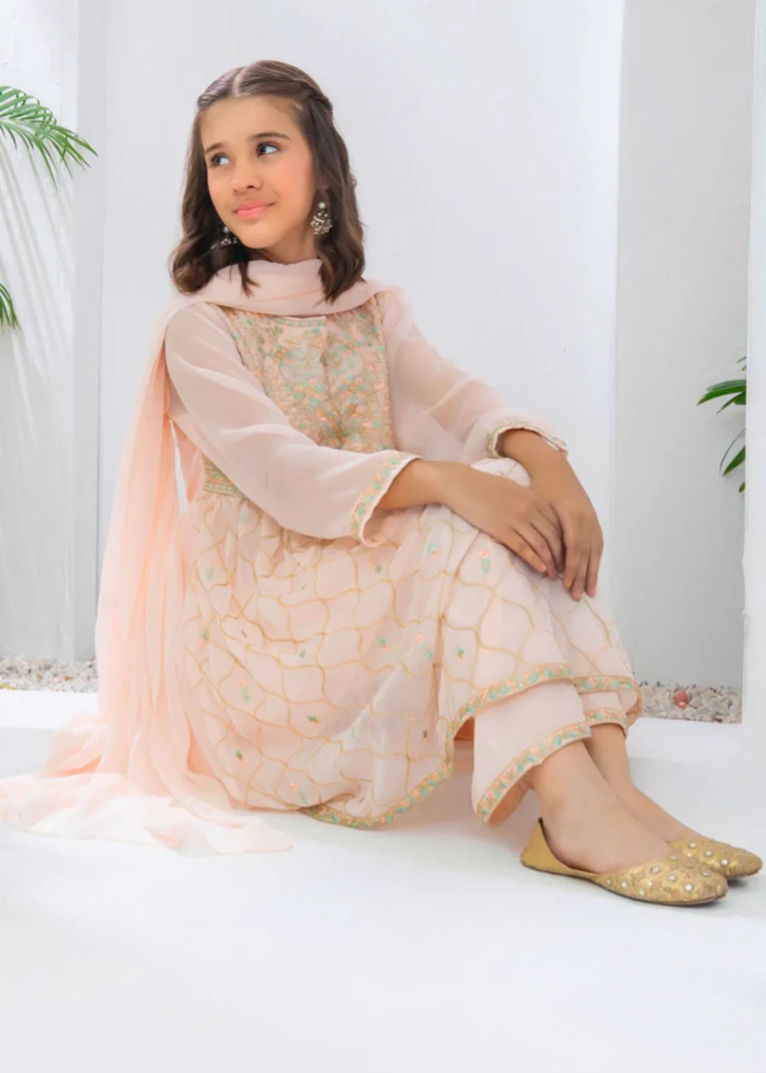 CHIFFON-EMBROIDERED-3-65 - Pc Suit Em
