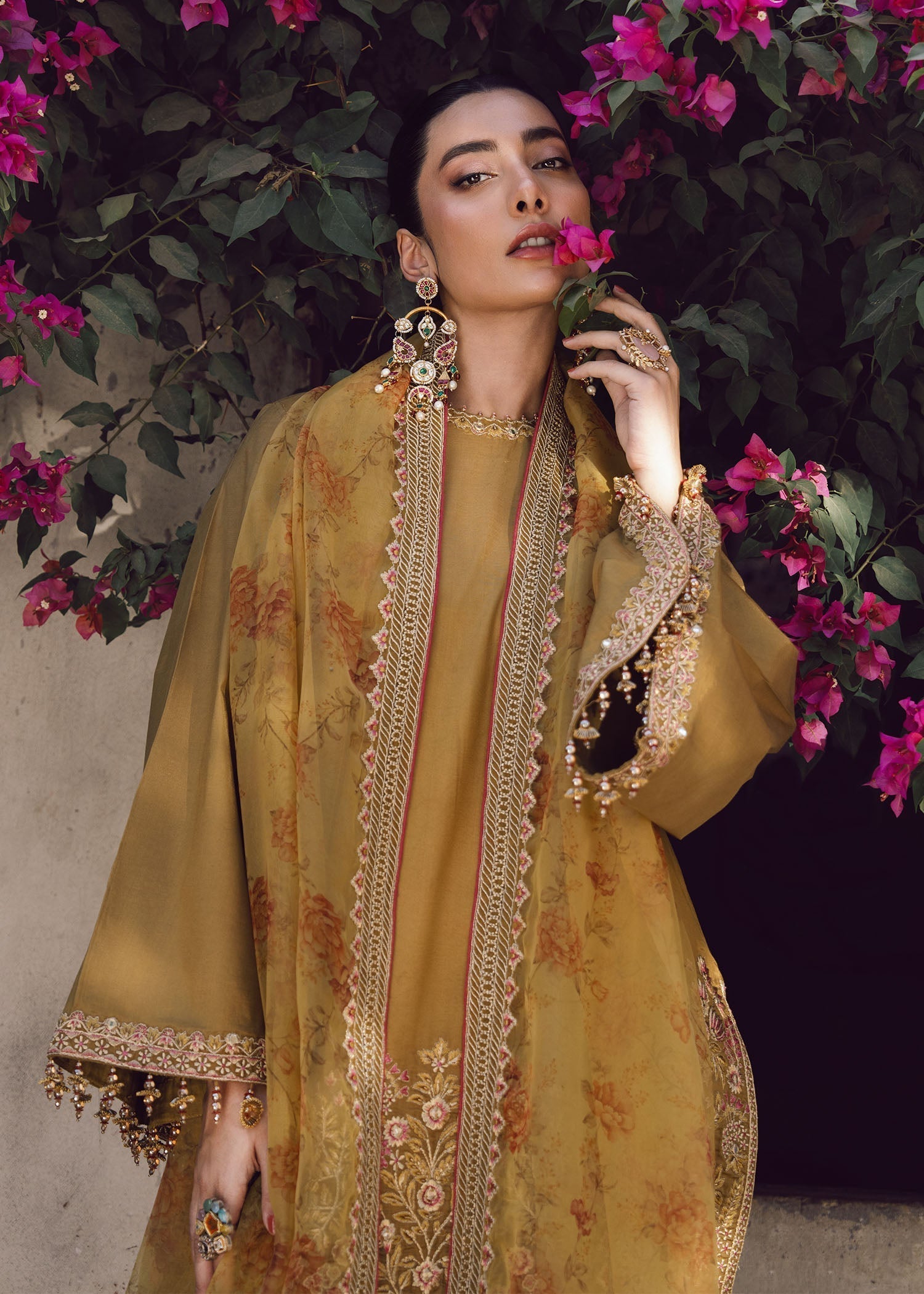 Rang-e-Haya Susan (Olive)