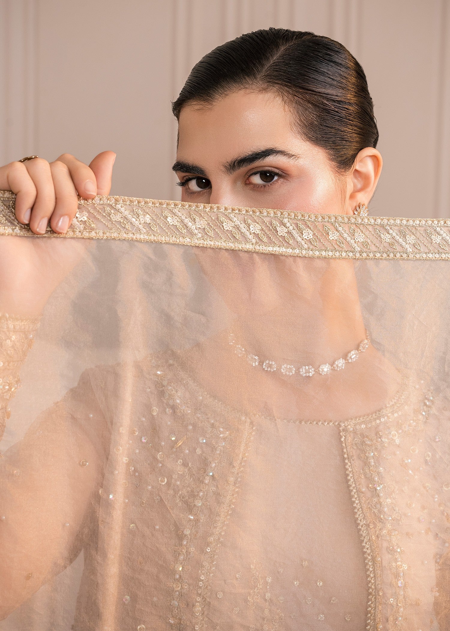 Rang-e-Haya Amel (Clay Beige)