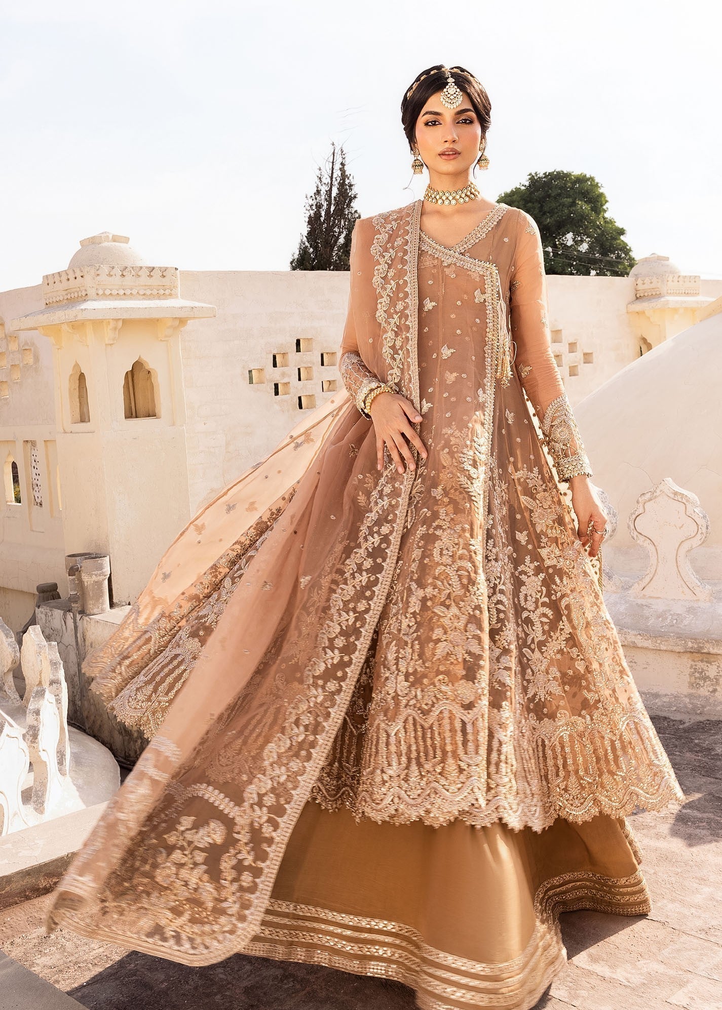 Rang-e-Haya Gold Dust (Champagne)