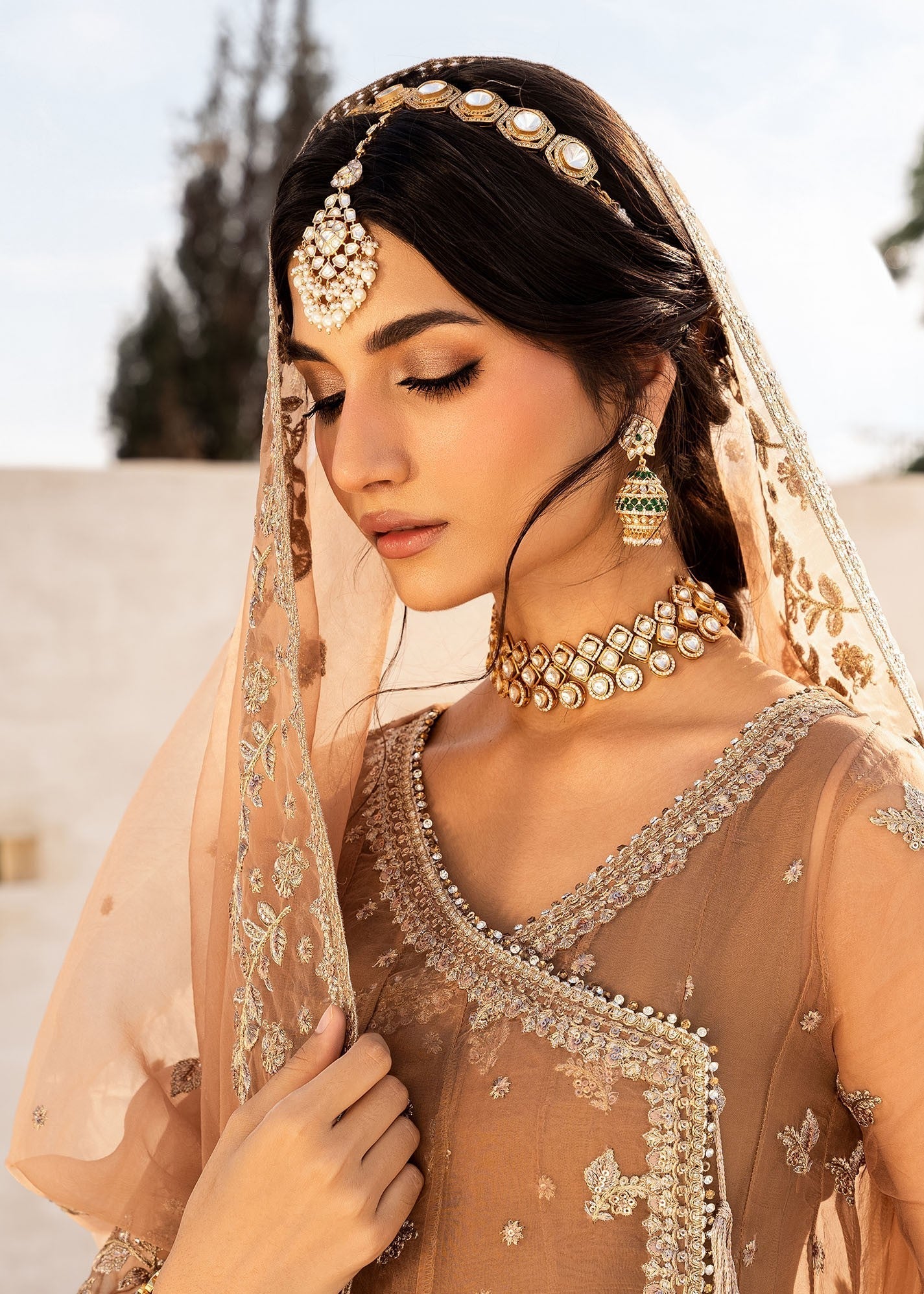 Rang-e-Haya Gold Dust (Champagne)