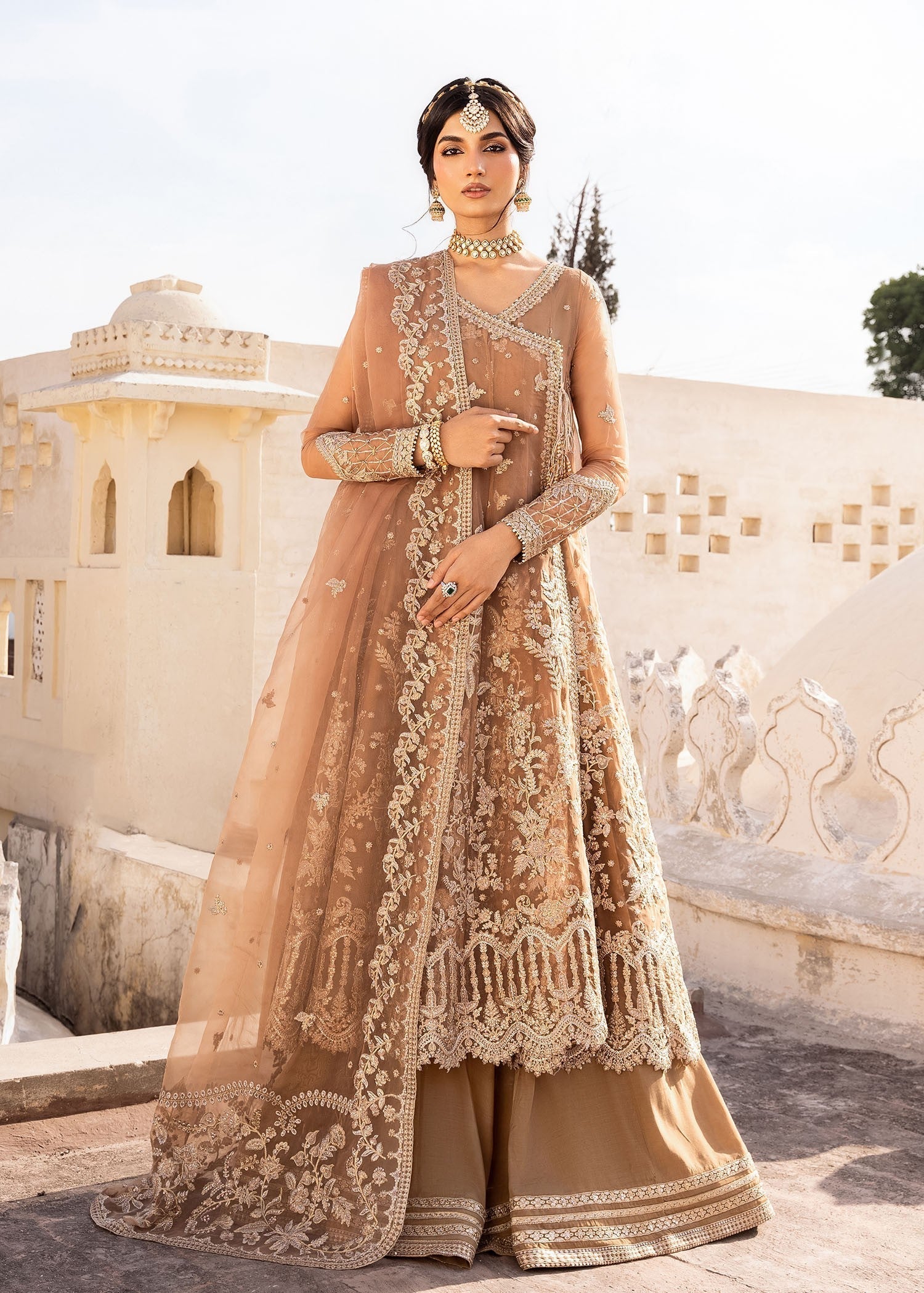 Rang-e-Haya Gold Dust (Champagne)