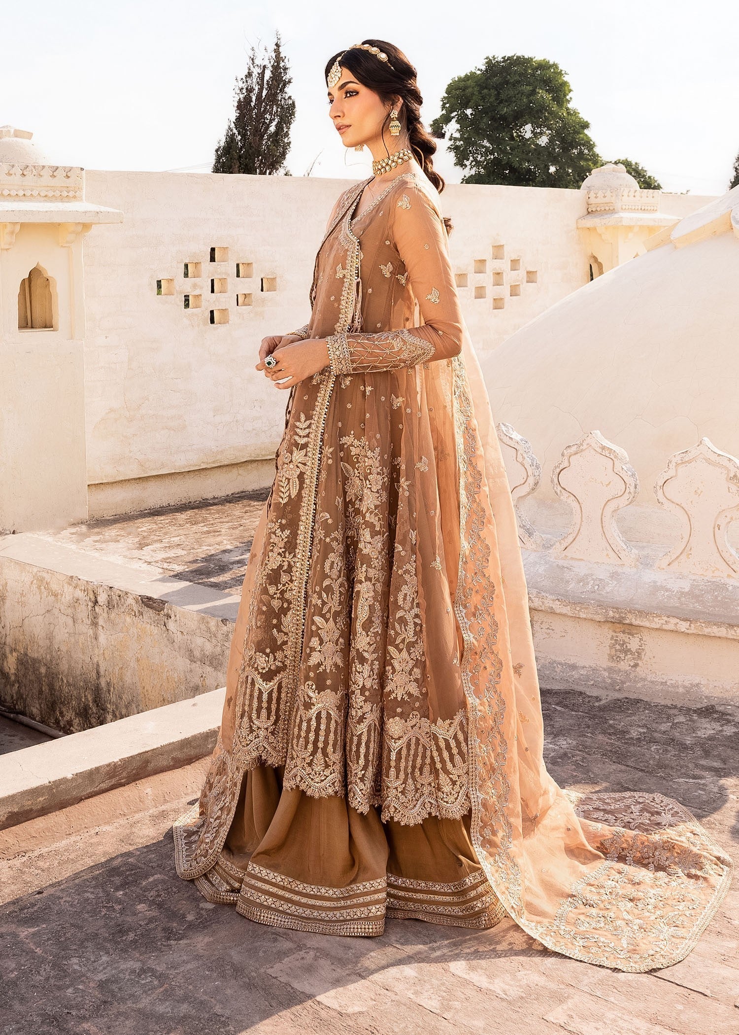 Rang-e-Haya Gold Dust (Champagne)