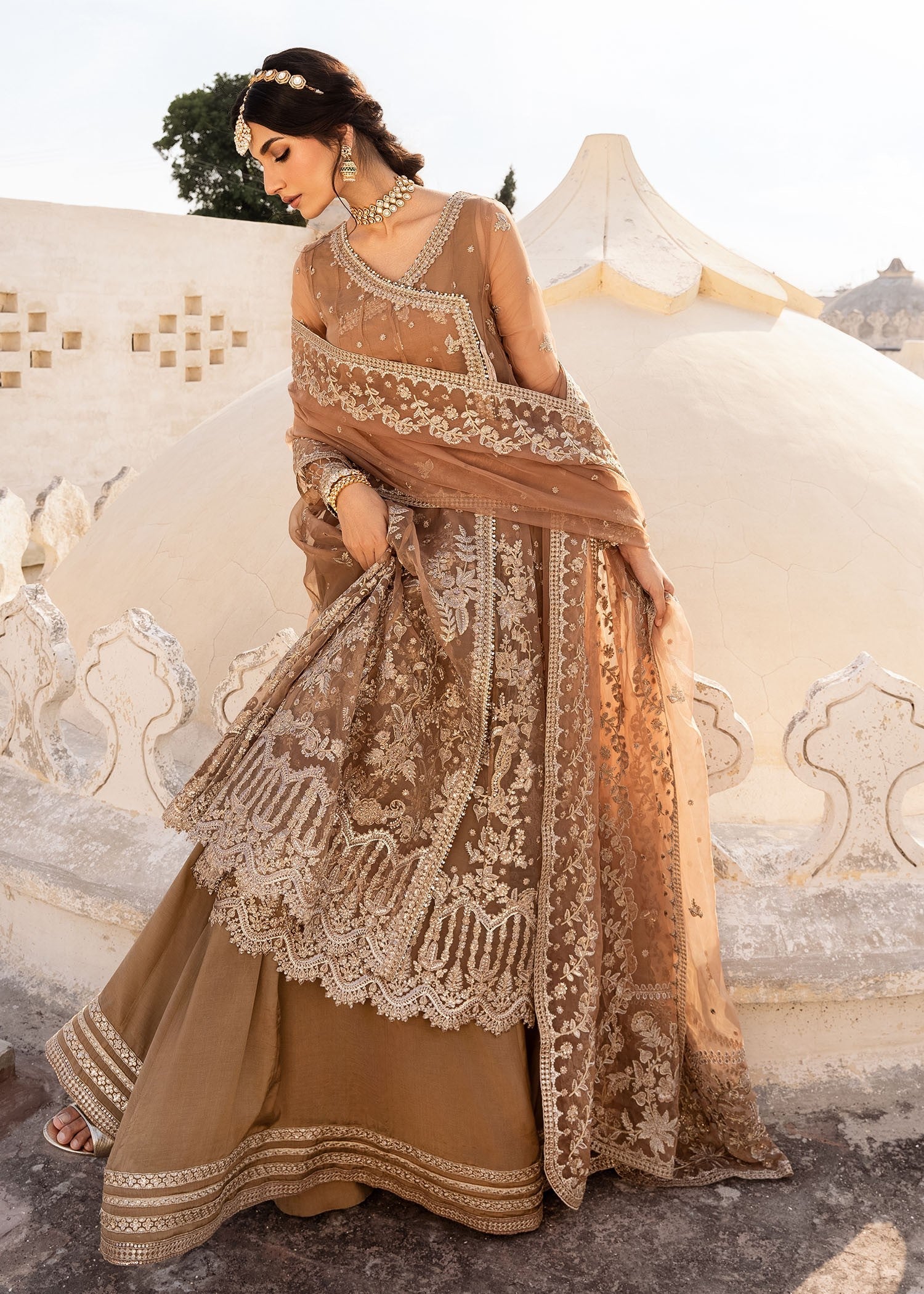 Rang-e-Haya Gold Dust (Champagne)