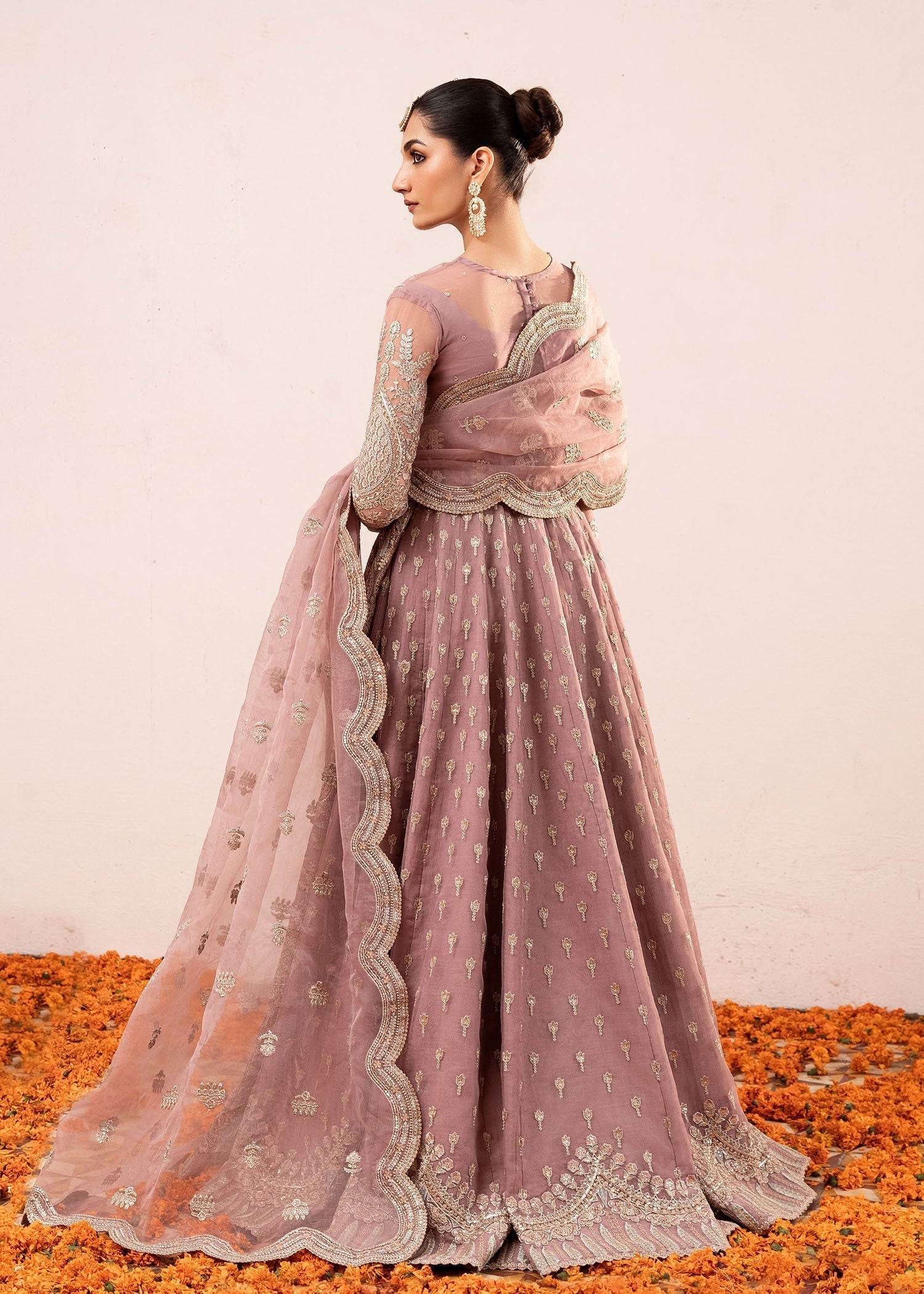 Rang-e-Haya Alexa (Seashell Pink)