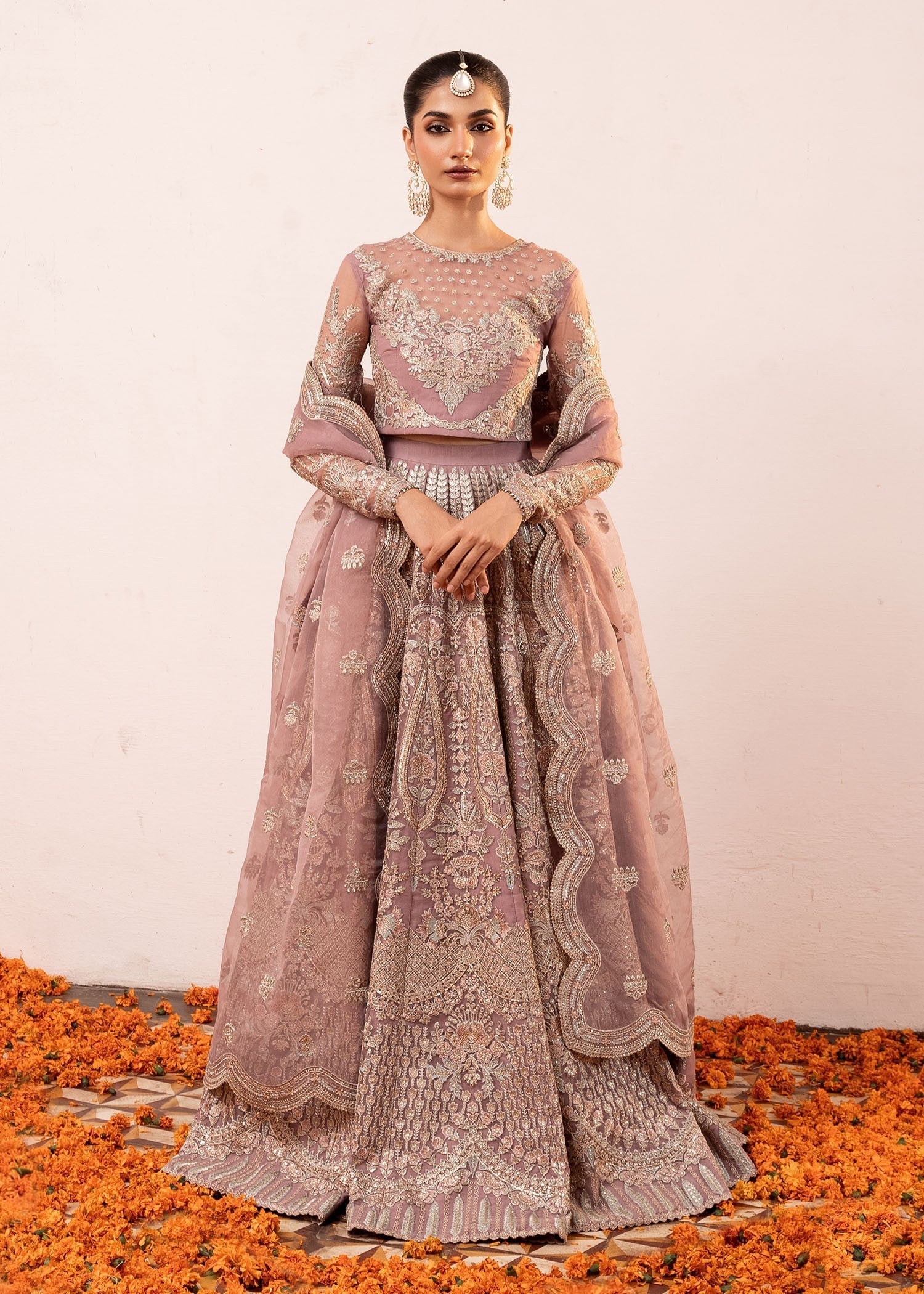 Rang-e-Haya Alexa (Seashell Pink)