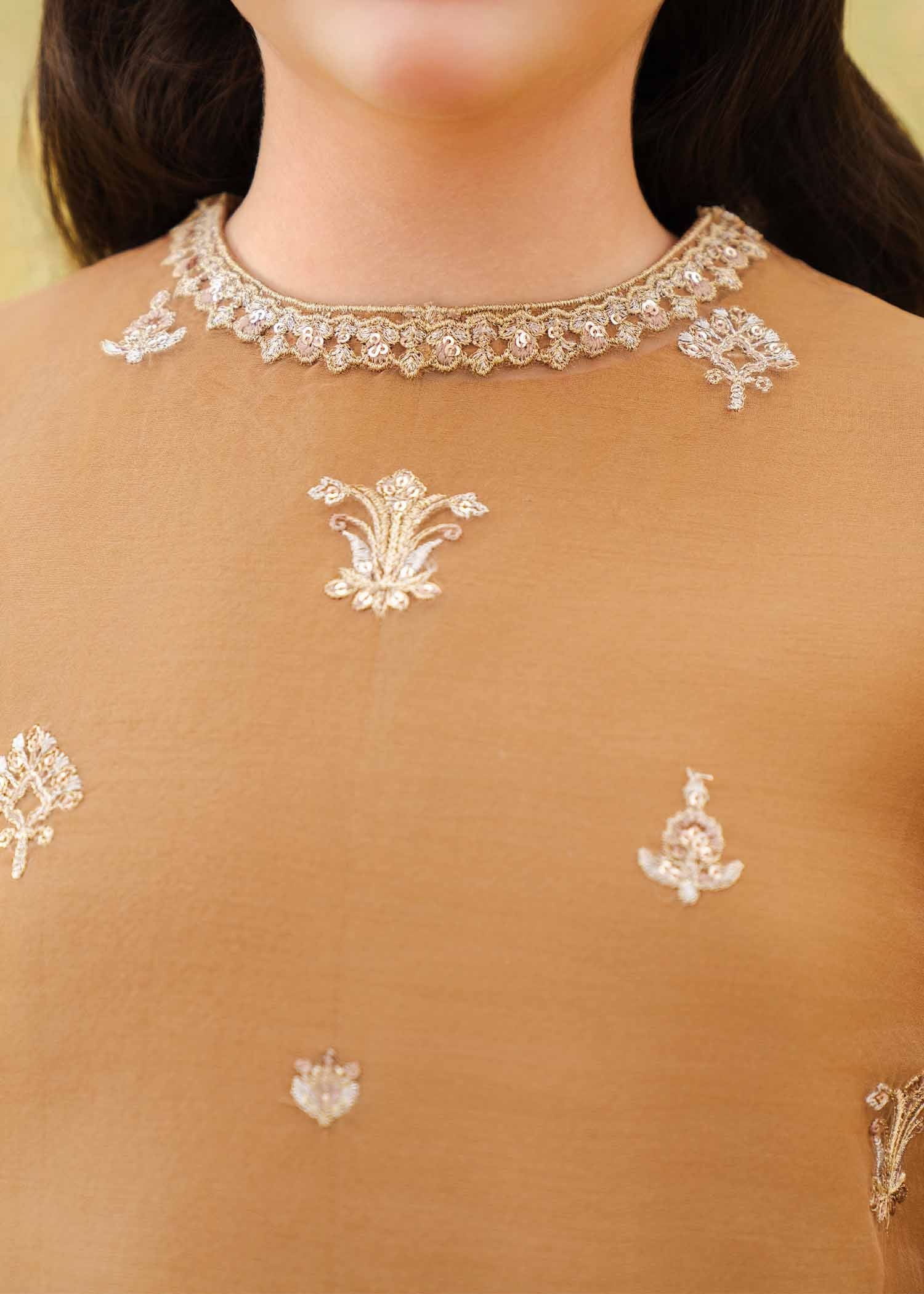 Rang-e-Haya Mia (Champagne)