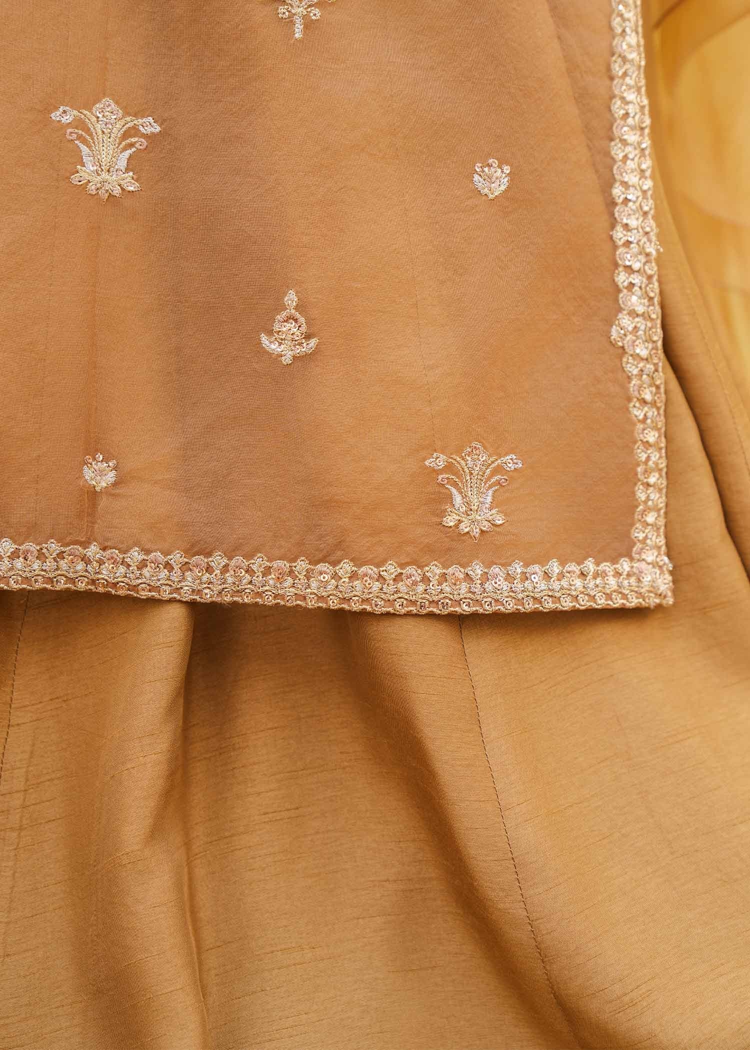 Rang-e-Haya Mia (Champagne)