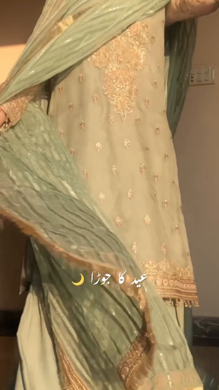 Rang-e-Haya Sanaya (Mint)