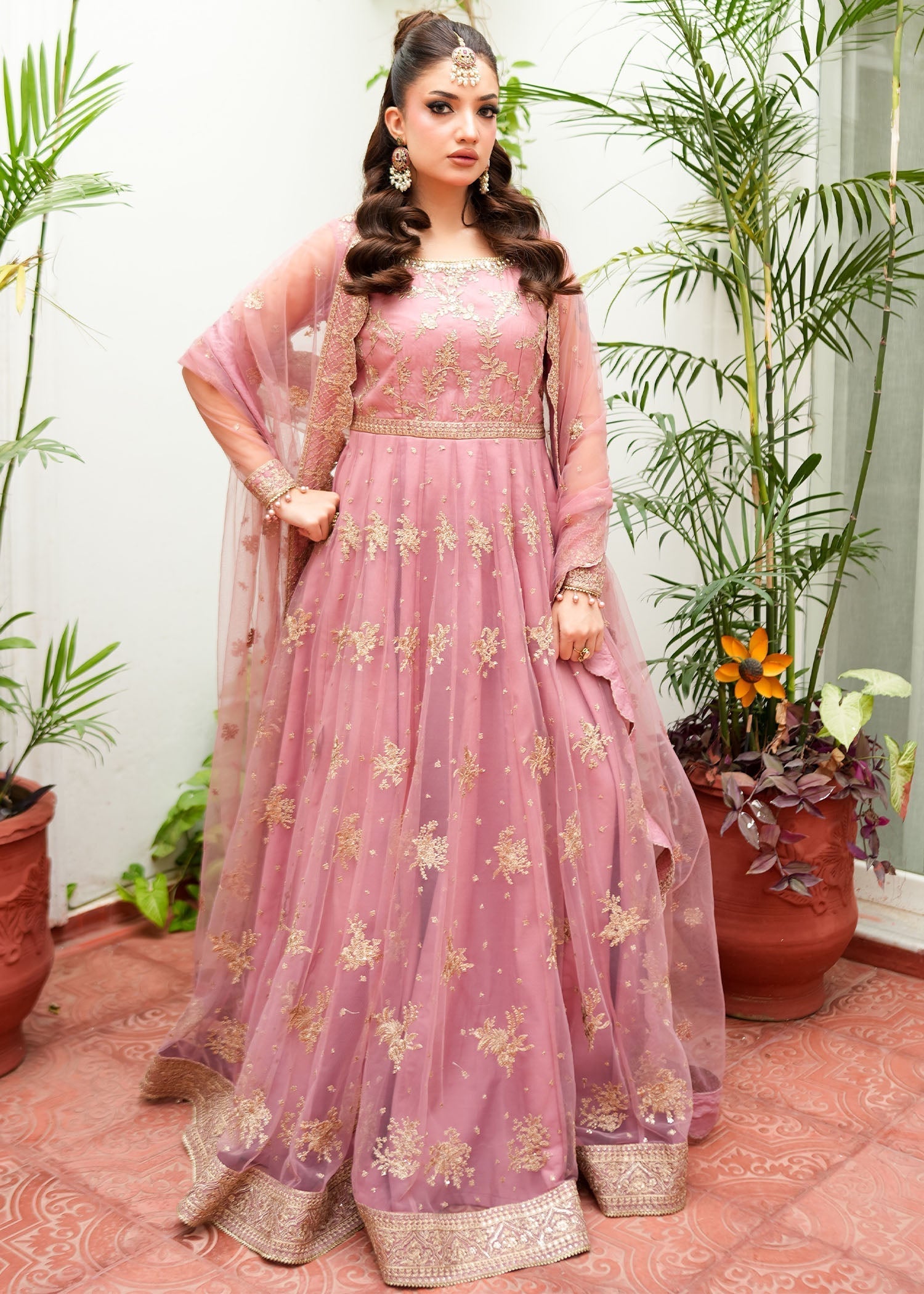 Rang-e-Haya Anorah (lylic pink)
